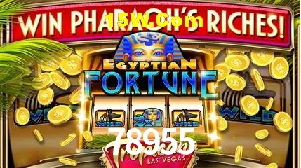 78955 - cassino ao vivo